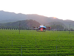 AGR lança cooperação amigável com China Tea Research Institute